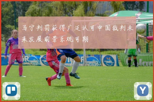 马宁判罚获得广泛认可中国裁判未来发展前景乐观可期