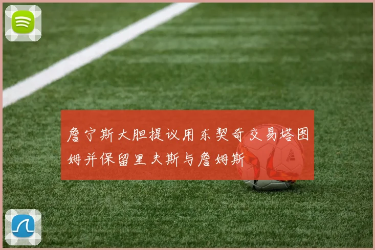 詹宁斯大胆提议用东契奇交易塔图姆并保留里夫斯与詹姆斯