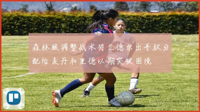 森林狼调整战术将兰德尔出手权分配给麦丹和里德以期突破困境