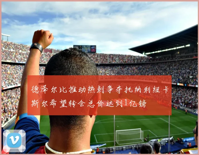 德泽尔比推动热刺争夺托纳利纽卡斯尔希望转会总价达到1亿镑