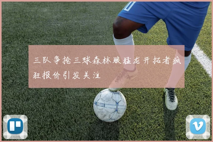 三队争抢三球森林狼猛龙开拓者疯狂报价引发关注
